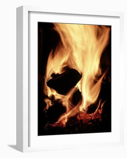 Close-up of Campfire at Night-John Coletti-Framed Photographic Print