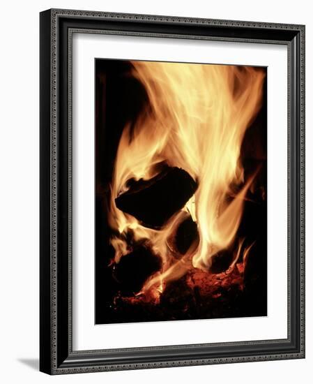 Close-up of Campfire at Night-John Coletti-Framed Photographic Print