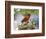 Close-up of Cardinal in Blooming Tree-Gary Carter-Framed Photographic Print