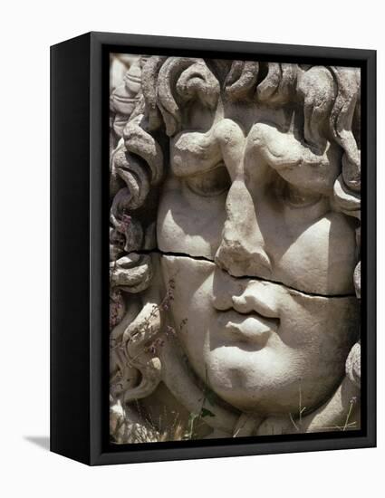 Close-Up of Carved Head, Didyma, Anatolia, Turkey, Eurasia-Christina Gascoigne-Framed Premier Image Canvas