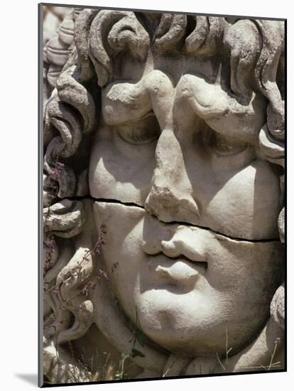 Close-Up of Carved Head, Didyma, Anatolia, Turkey, Eurasia-Christina Gascoigne-Mounted Photographic Print