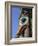 Close-up of Carved Totem in Vancouver, British Columbia, Canada-Robert Harding-Framed Photographic Print