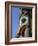 Close-up of Carved Totem in Vancouver, British Columbia, Canada-Robert Harding-Framed Photographic Print