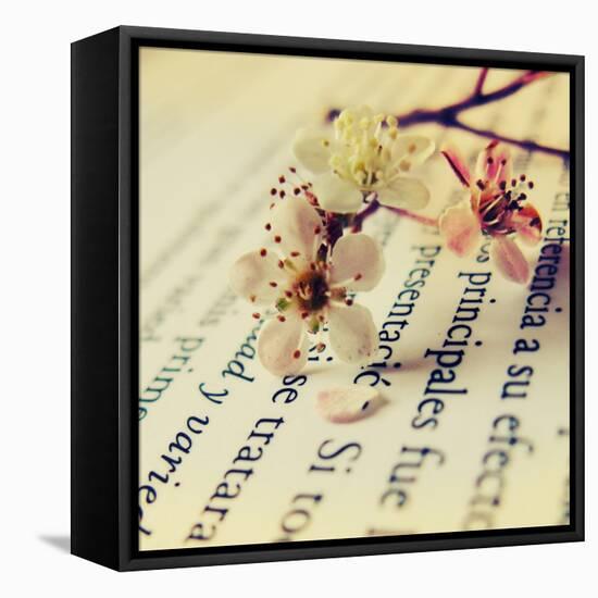 Close Up of Cherry Blossom-Carolina Hernández-Framed Premier Image Canvas