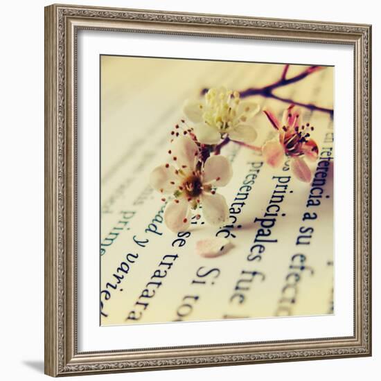 Close Up of Cherry Blossom-Carolina Hernández-Framed Photographic Print