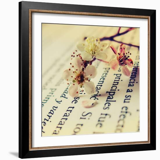 Close Up of Cherry Blossom-Carolina Hernández-Framed Photographic Print