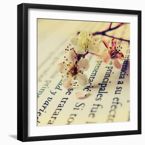 Close Up of Cherry Blossom-Carolina Hernández-Framed Photographic Print