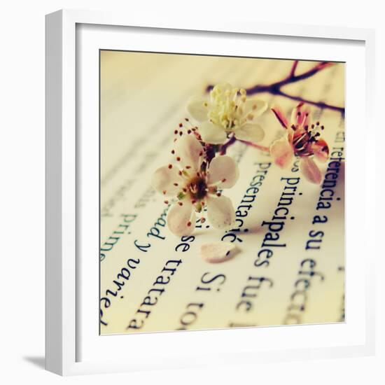Close Up of Cherry Blossom-Carolina Hernández-Framed Photographic Print