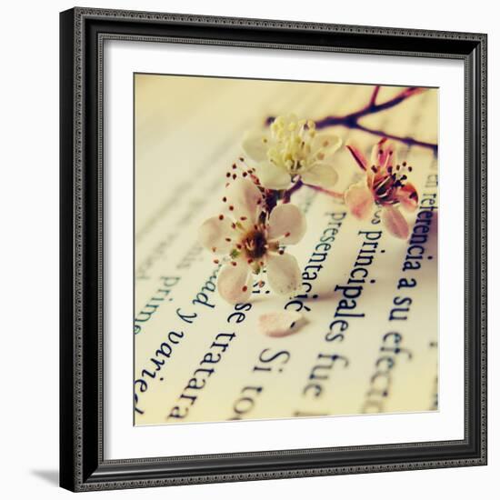 Close Up of Cherry Blossom-Carolina Hernández-Framed Photographic Print