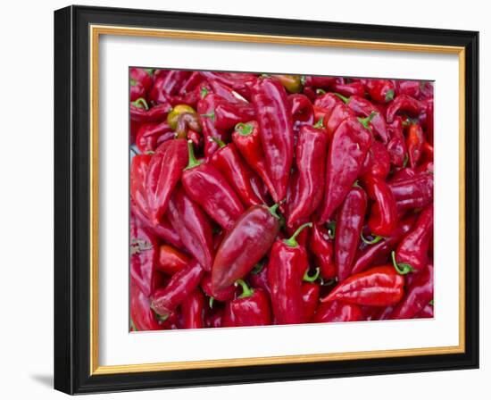 Close Up of Chillies in the Bazaar of Osh, Kyrgyzstan, Central Asia, Asia-Michael Runkel-Framed Photographic Print