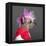 Close-Up Of Chinese Crested Dog With Pink Mohawk, 4 Years Old, In Front Of Grey Background-Life on White-Framed Premier Image Canvas