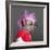 Close-Up Of Chinese Crested Dog With Pink Mohawk, 4 Years Old, In Front Of Grey Background-Life on White-Framed Photographic Print