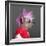 Close-Up Of Chinese Crested Dog With Pink Mohawk, 4 Years Old, In Front Of Grey Background-Life on White-Framed Photographic Print