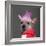 Close-Up Of Chinese Crested Dog With Pink Mohawk, 4 Years Old, In Front Of Grey Background-Life on White-Framed Photographic Print