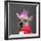 Close-Up Of Chinese Crested Dog With Pink Mohawk, 4 Years Old, In Front Of Grey Background-Life on White-Framed Photographic Print