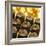 Close-up of Chocolates-John Miller-Framed Photographic Print