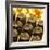 Close-up of Chocolates-John Miller-Framed Photographic Print