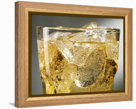 Close-up of Cider on Ice-Steve Lupton-Framed Premier Image Canvas