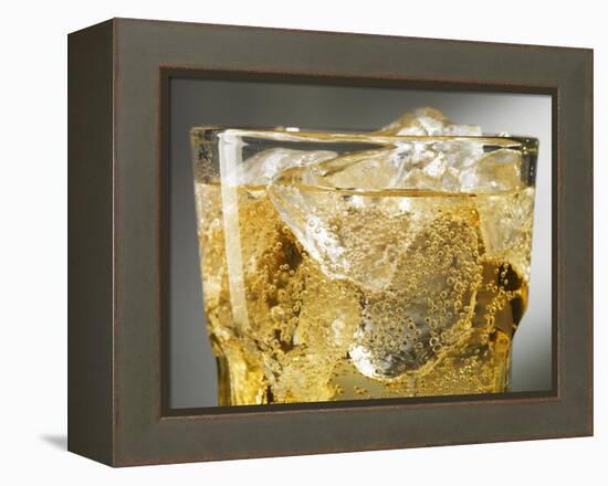 Close-up of Cider on Ice-Steve Lupton-Framed Premier Image Canvas