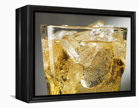 Close-up of Cider on Ice-Steve Lupton-Framed Premier Image Canvas