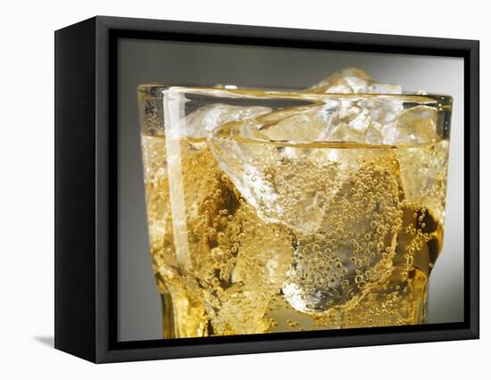 Close-up of Cider on Ice-Steve Lupton-Framed Premier Image Canvas