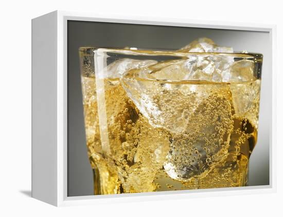 Close-up of Cider on Ice-Steve Lupton-Framed Premier Image Canvas