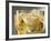 Close-up of Cider on Ice-Steve Lupton-Framed Photographic Print