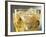 Close-up of Cider on Ice-Steve Lupton-Framed Photographic Print