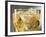 Close-up of Cider on Ice-Steve Lupton-Framed Photographic Print