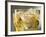 Close-up of Cider on Ice-Steve Lupton-Framed Photographic Print