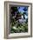 Close-up of Coffee Plant and Beans, Lago Atitlan (Lake Atitlan) Beyond, Guatemala, Central America-Aaron McCoy-Framed Photographic Print