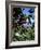 Close-up of Coffee Plant and Beans, Lago Atitlan (Lake Atitlan) Beyond, Guatemala, Central America-Aaron McCoy-Framed Photographic Print