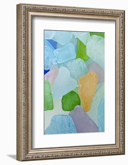 Close-Up of Colorful Beach Glass, Washington, USA-Jaynes Gallery-Framed Photographic Print