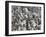 Close-up of Cotton Plants in a Field, Wellington, Texas, USA-null-Framed Photographic Print