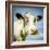 Close Up of Cow's Face-Mark Gemmell-Framed Photographic Print