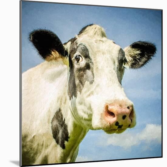 Close Up of Cow's Face-Mark Gemmell-Mounted Photographic Print