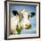 Close Up of Cow's Face-Mark Gemmell-Framed Photographic Print