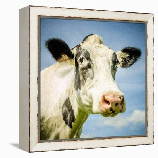 Close Up of Cow's Face-Mark Gemmell-Framed Premier Image Canvas