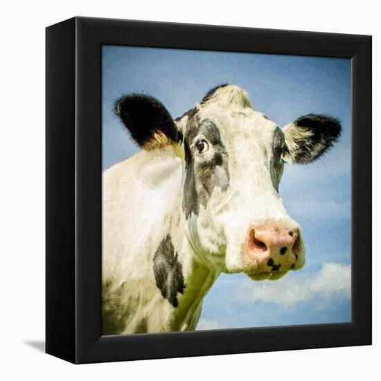 Close Up of Cow's Face-Mark Gemmell-Framed Premier Image Canvas