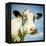 Close Up of Cow's Face-Mark Gemmell-Framed Premier Image Canvas