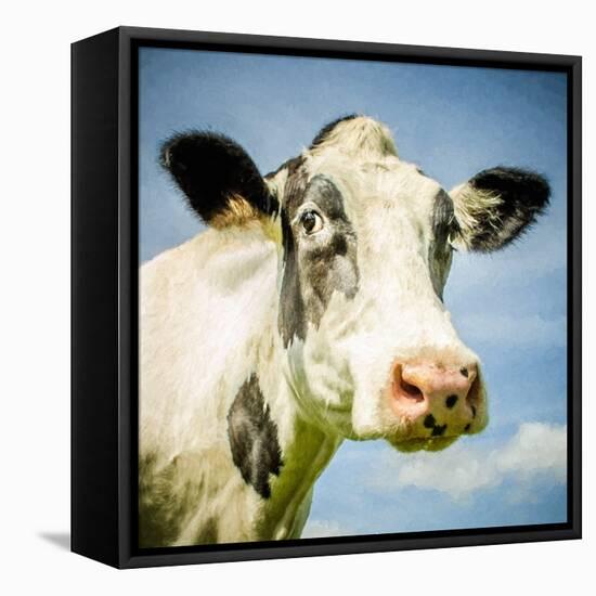 Close Up of Cow's Face-Mark Gemmell-Framed Premier Image Canvas