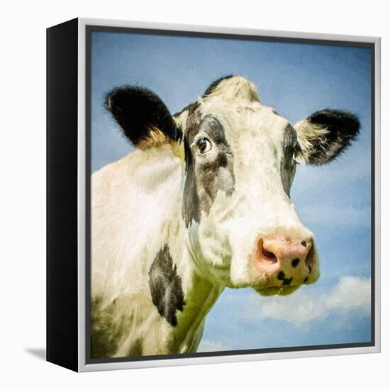 Close Up of Cow's Face-Mark Gemmell-Framed Premier Image Canvas