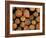 Close-Up of Cut Logs in a Timber Pile, Hassness Wood, Lake District, Cumbria, England, UK-Neale Clarke-Framed Photographic Print