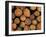 Close-Up of Cut Logs in a Timber Pile, Hassness Wood, Lake District, Cumbria, England, UK-Neale Clarke-Framed Photographic Print