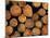 Close-Up of Cut Logs in a Timber Pile, Hassness Wood, Lake District, Cumbria, England, UK-Neale Clarke-Mounted Photographic Print