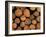 Close-Up of Cut Logs in a Timber Pile, Hassness Wood, Lake District, Cumbria, England, UK-Neale Clarke-Framed Photographic Print