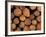 Close-Up of Cut Logs in a Timber Pile, Hassness Wood, Lake District, Cumbria, England, UK-Neale Clarke-Framed Photographic Print