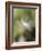 Close-up of Dandelion Seed Blowing in the Wind, San Diego, California, USA-Christopher Talbot Frank-Framed Photographic Print