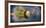 Close-Up of Dandelion Seed-Daniil Belyay-Framed Photographic Print