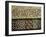 Close-Up of Decoration, Alhambra, Granada, Andalucia, Spain-Adam Woolfitt-Framed Photographic Print